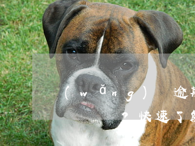 網(wǎng)貸逾期如何查是否已上征信？快速了解你的信用記錄